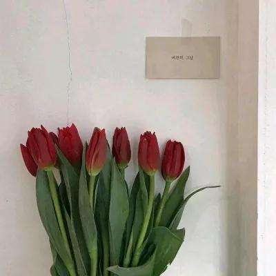 屠龙定乾坤手游高爆版下载